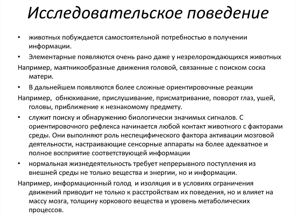 Ориентировочно это. Исследовательское поведение примеры. Исследовательское поведение животных. Исследовательское поведение ребенка. Примеры исследовательского поведения детей.