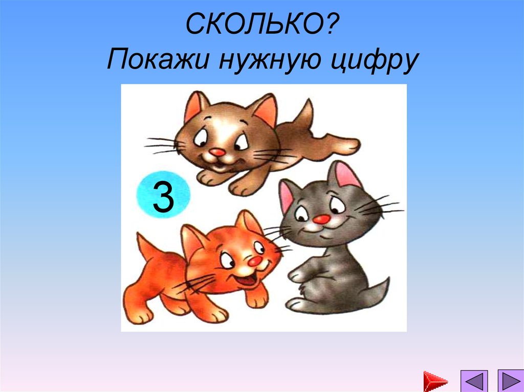 Покажи сколько. Устный счет с предметами. Счет предметов презентация. Счет предметов 1 класс. Счет предметов презентация для детей.