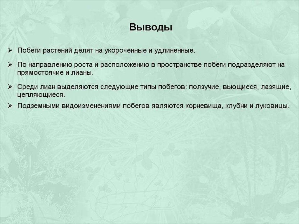 Заключение 5 6. Вывод о побегах растений. Вывод о многообразии побегов у растений. Вывод о разнообразии побегов у растений. Вывод о многообразии побегов.