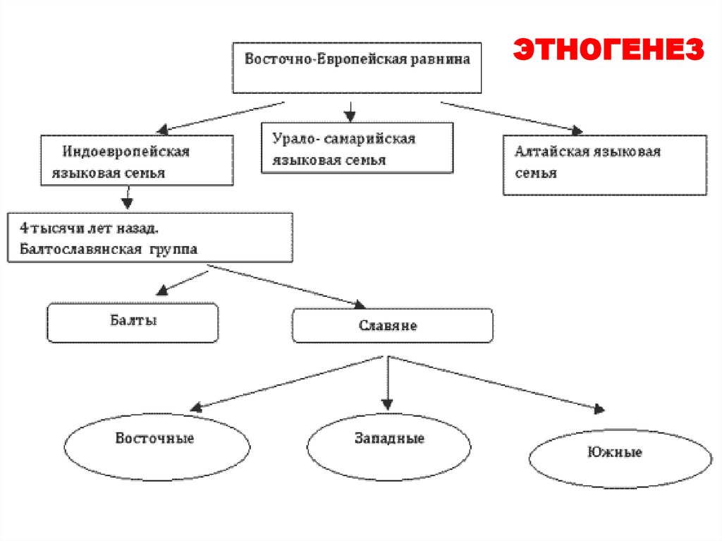 Языковая семья чечни