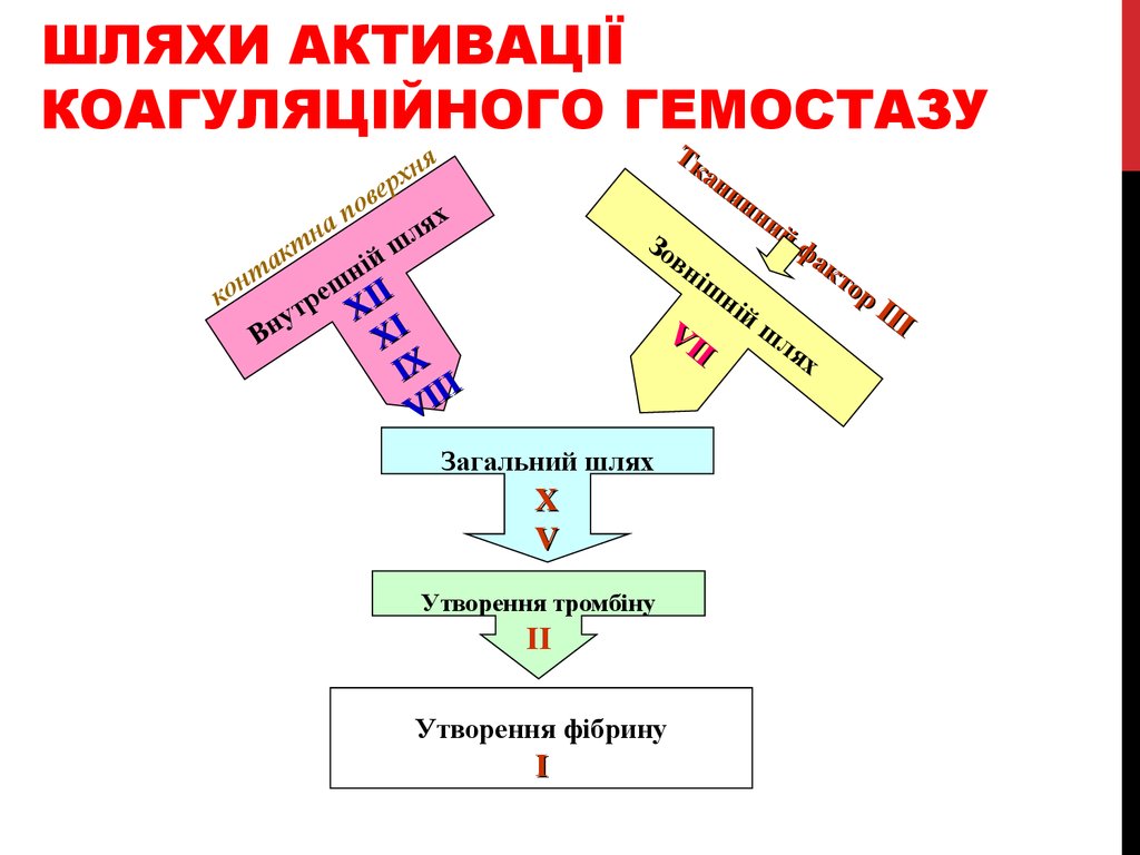 Гемостаз регулоном схема