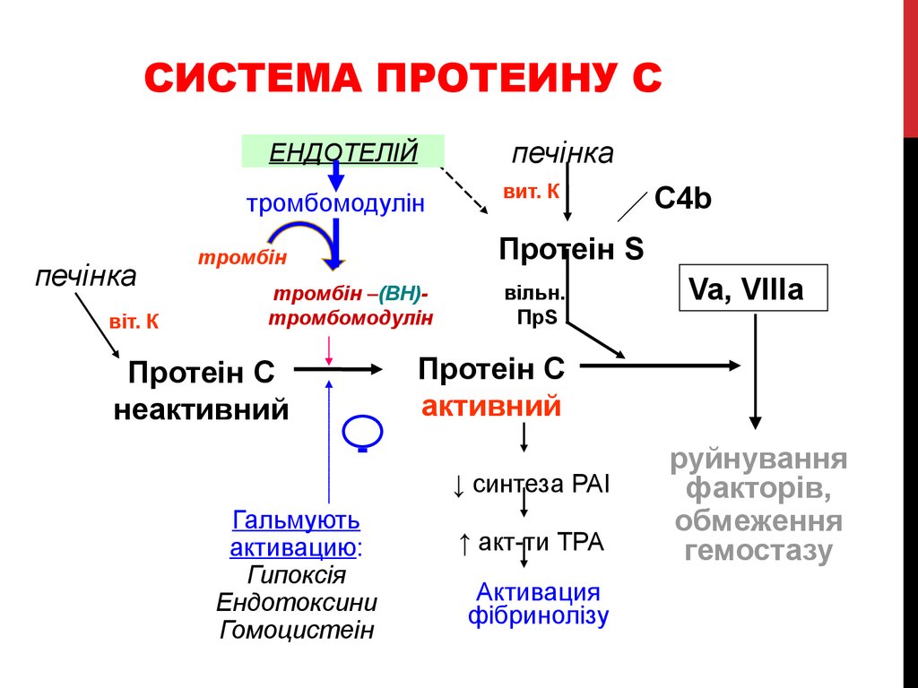 Гемокоагуляция это