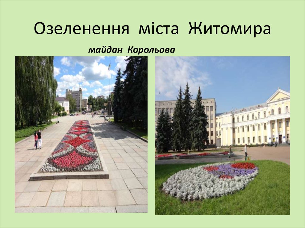 Озеленення міста Житомира