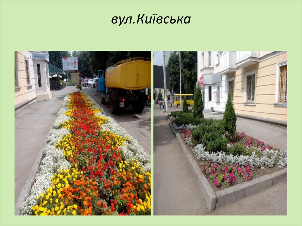 вул.Київська