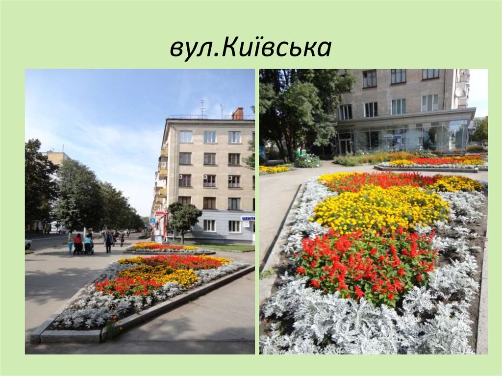 вул.Київська