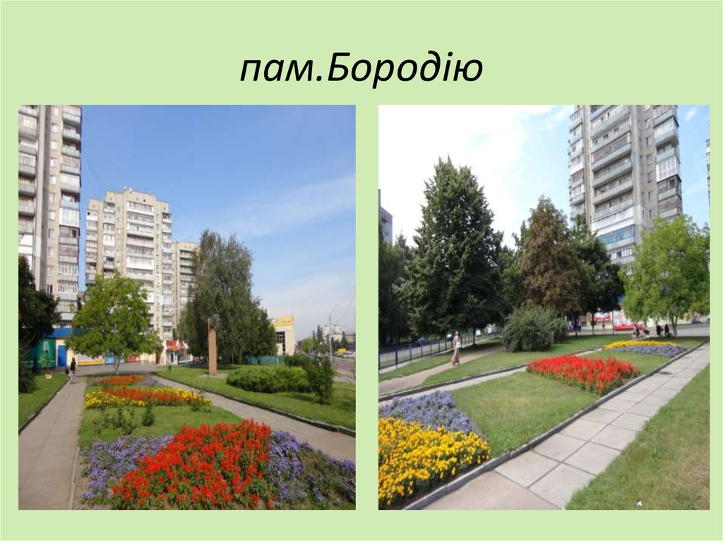 пам.Бородію