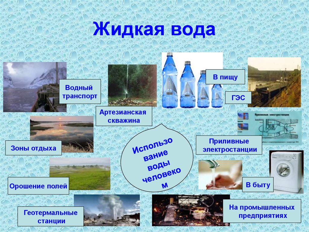 Экологические особенности воды