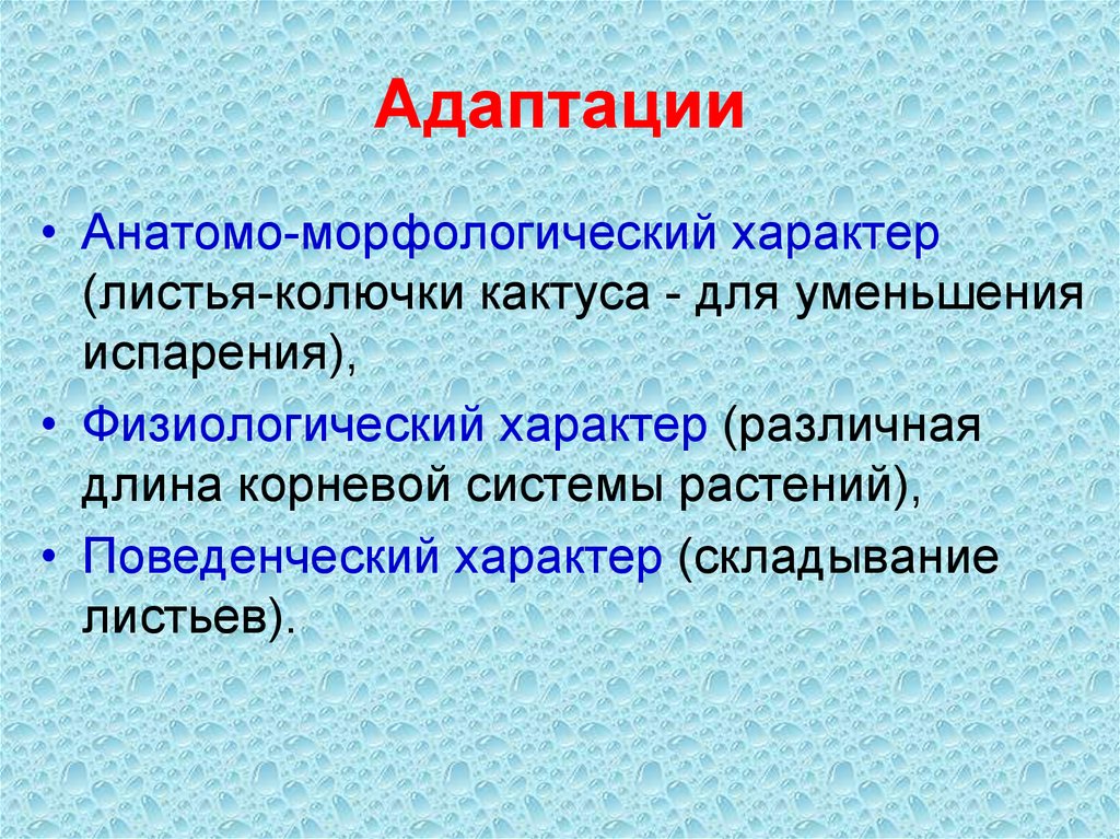 Хвойные уменьшение испарения. Анатомо морфологические адаптации растений. Вода как экологический фактор. Физиологический характер. Вода как среда обитания.