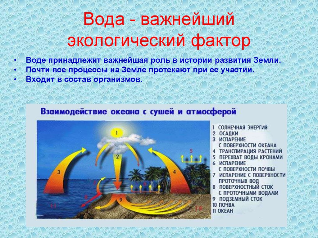 Экологический состав воды