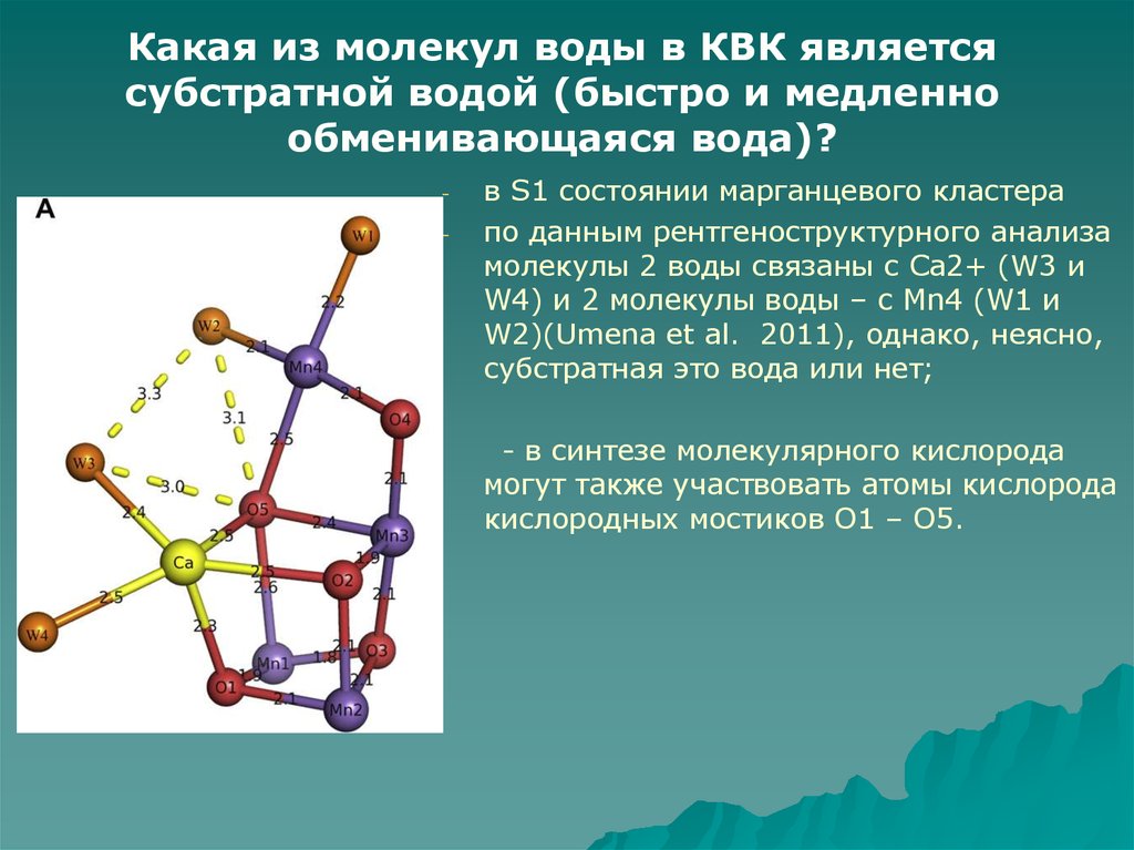 Молекулярный анализ. Связанные молекулы. Анализы молекулы. Анализ молекулы воды. Марганцевый кластер.