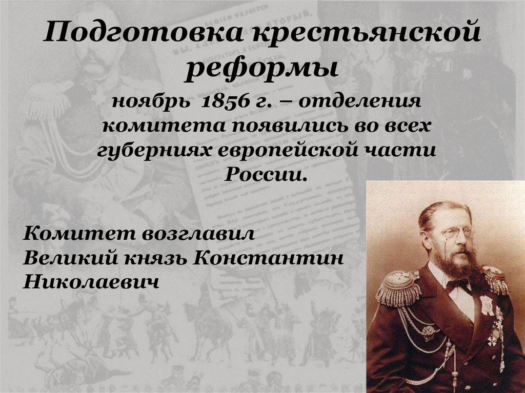 Кто из представителей бюрократии участвовал в разработке проекта крестьянской реформы