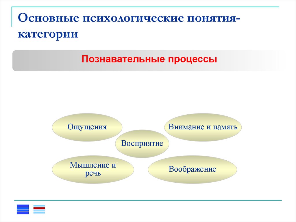 Презентация понятие о психике