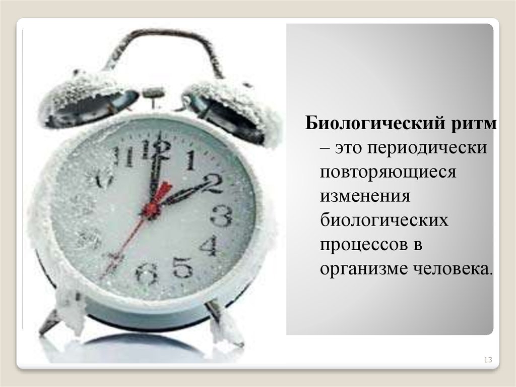 Влияние биоритмов на работоспособность человека проект