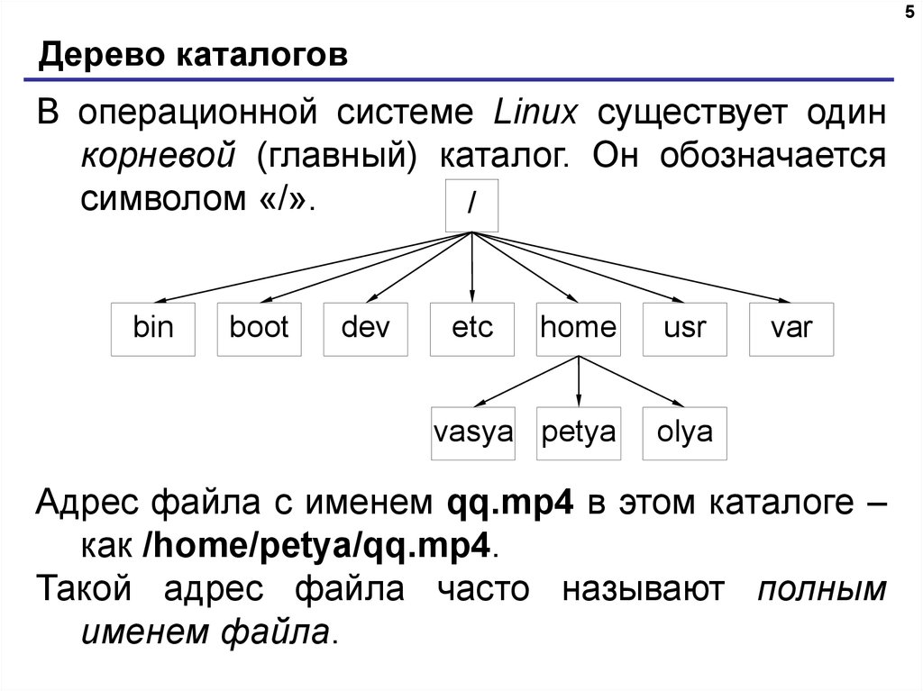 Имя созданного каталога. Структура дерева каталогов ОС Linux. Структура файловой системы ОС Linux. Файловая структура линукс. Иерархия файловой системы Linux.