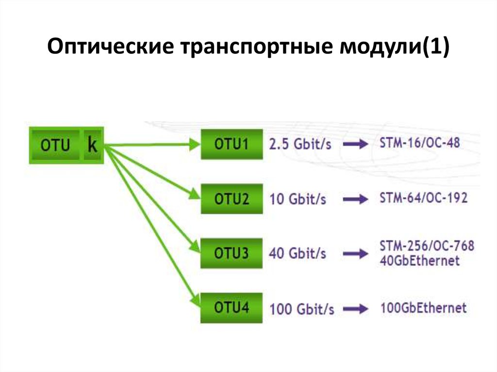 Для какой из перечисленных стран характерна. Оптические транспортные сети OTN структура сети. Структура кадра OTN. Пример оптической транспортной сети. OTN скорость.