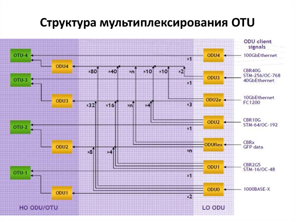 Транспортная стек