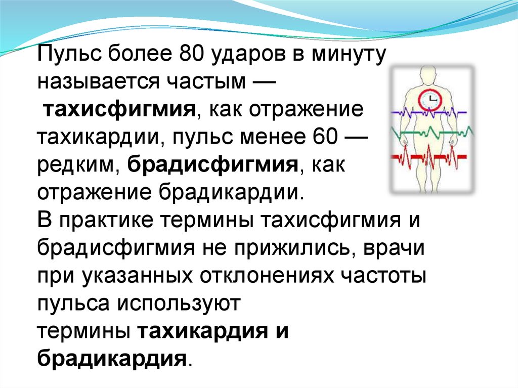 Пульс меньше 50 ударов в минуту