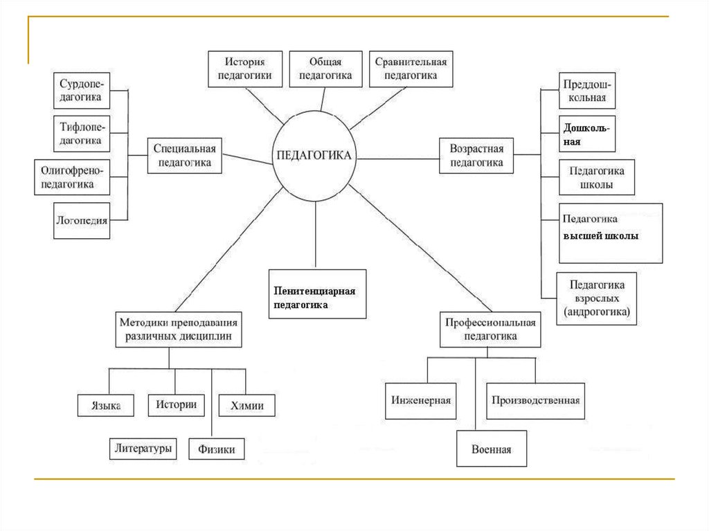 Составьте схему связь педагогики с другими науками