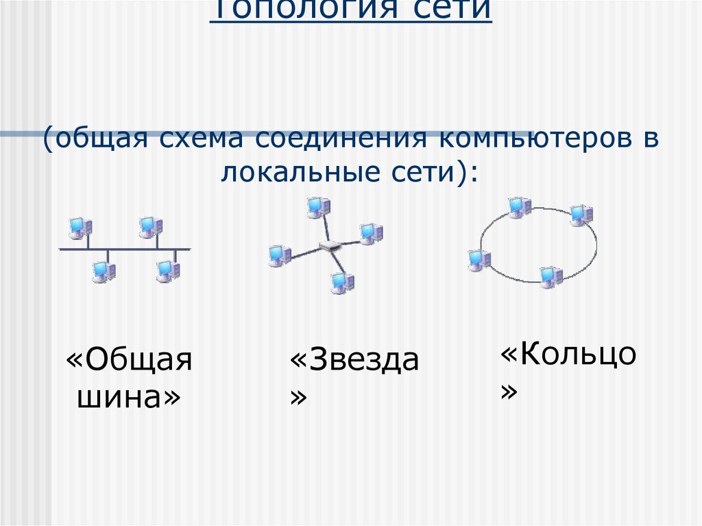 Топология сети (общая схема соединения компьютеров в локальные сети):