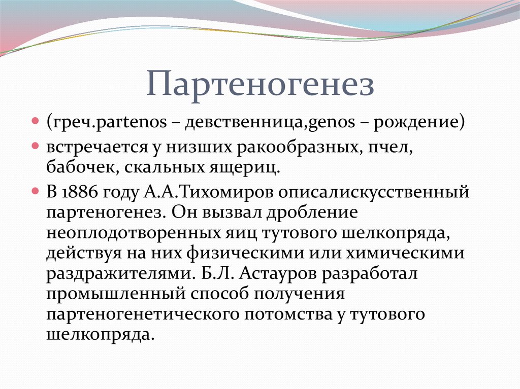 Партеногенез и почкование. Партеногенез. Партеногенез это кратко. Партеногенез презентация 10 класс. Типы партеногенеза.