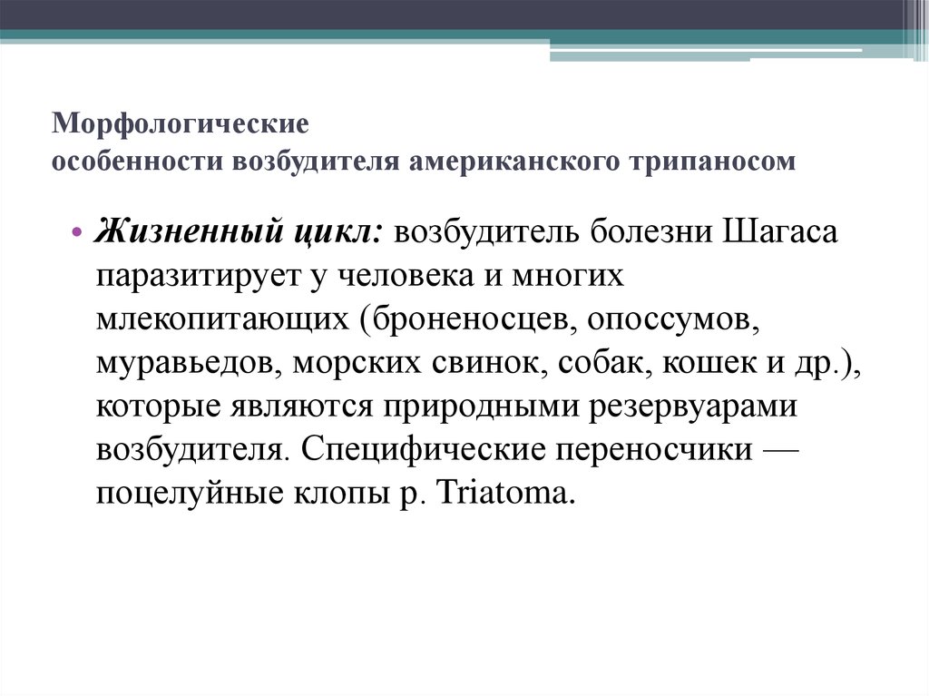 Морфологические особенности трипаносомы. Американский трипаносомоз природный резервуар.