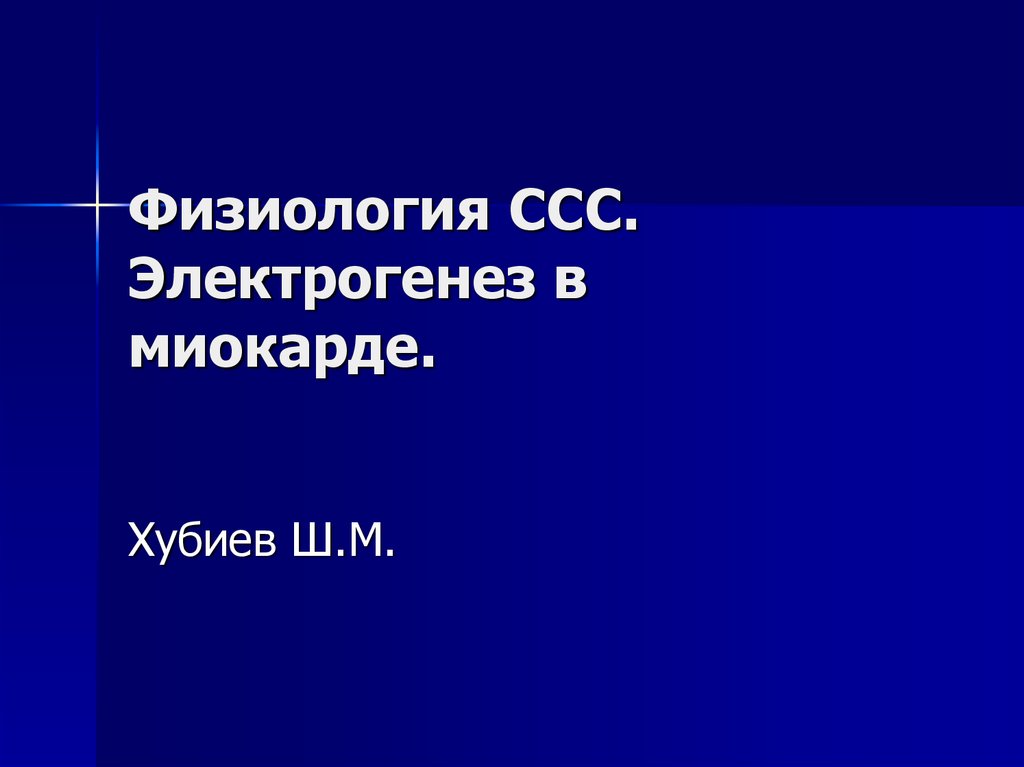 Физиология ссс