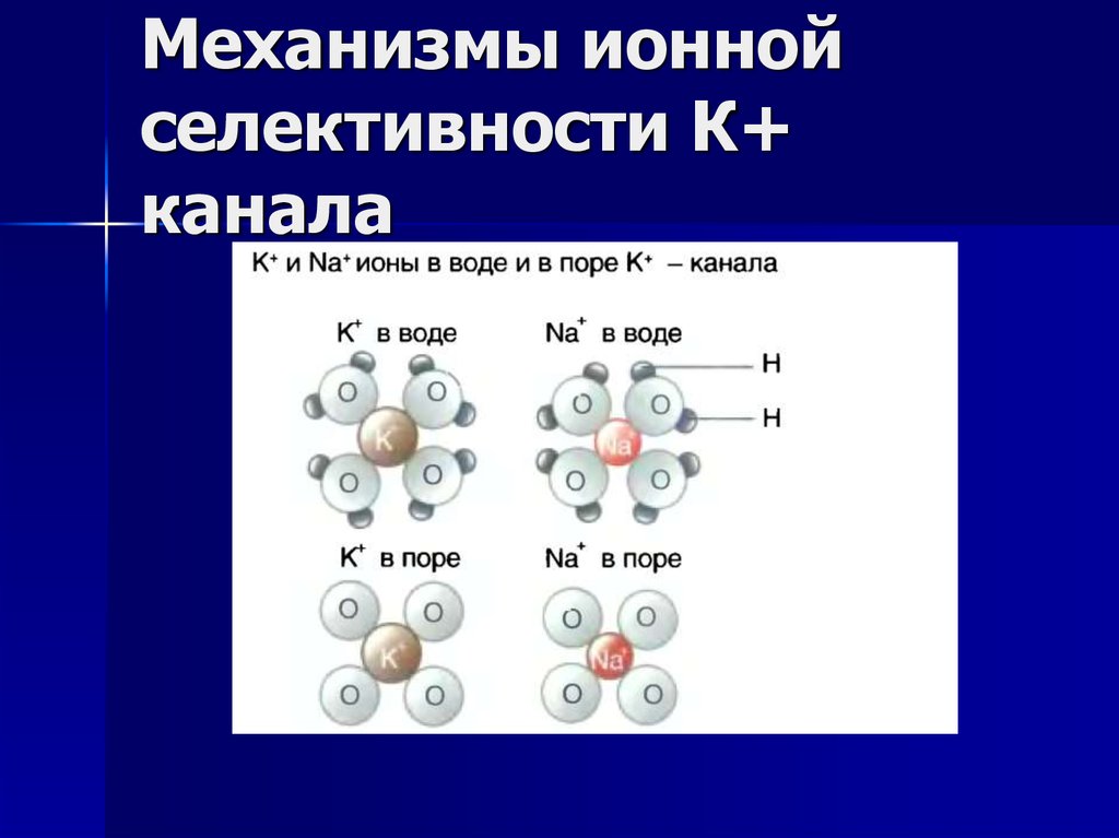 Механизм ионной связи. Ионной механизм. Механизм электрогенеза. Ионный механизм расщепления. Механизм ионов.