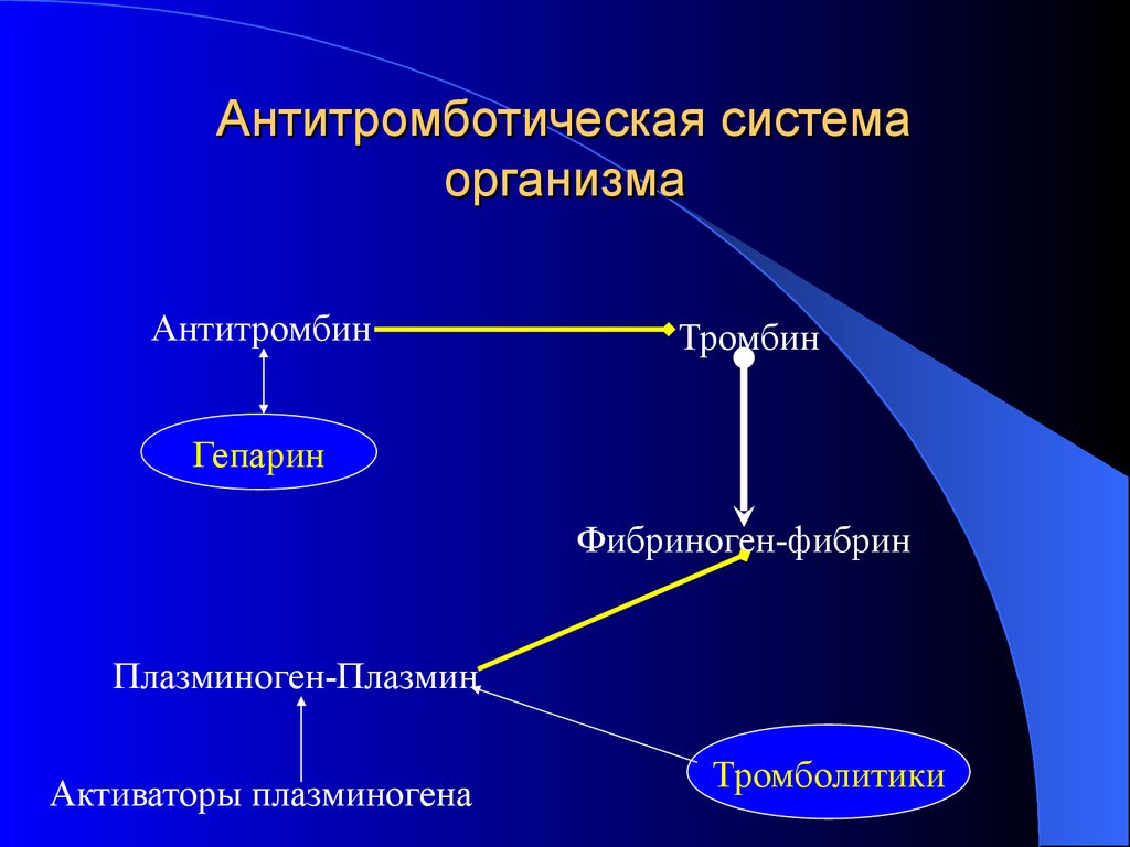 Тромбин. Плазминоген плазмин. Плазминогена в плазмин. Антитромботическая система. Гепарин и тромбин.