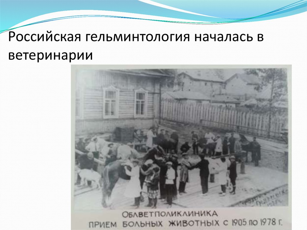 Российская гельминтология началась в ветеринарии
