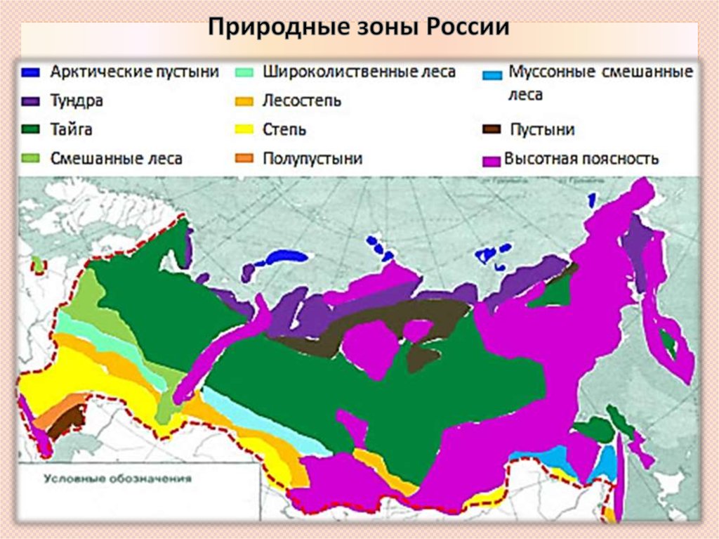 Карта природных зон россии атлас