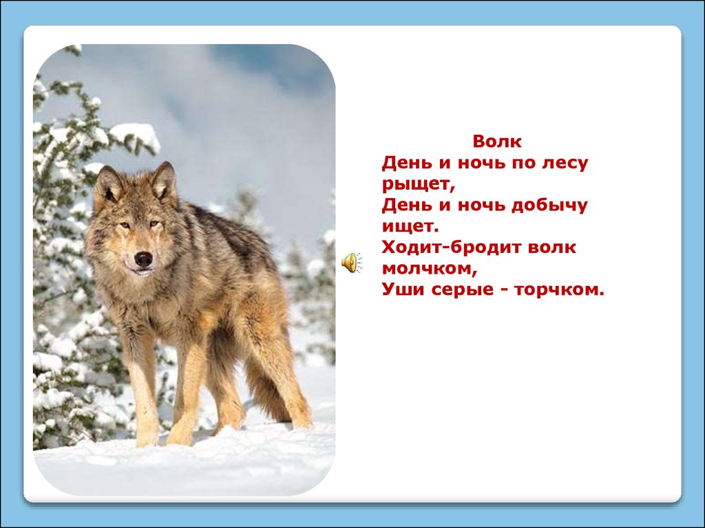 Что тех мест голодный рыскал волк. Животные красной книги Якутии. Волки рыщут. Волк рыщет по лесу. Животные Якутии презентация.