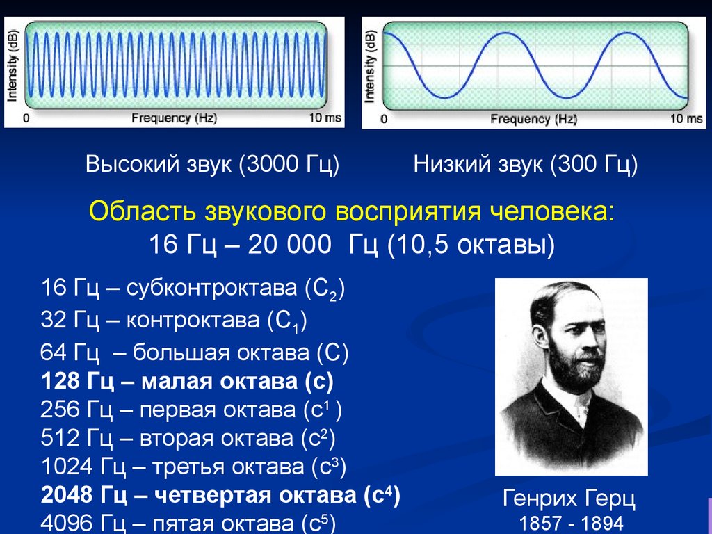 Частота человека как определить. Частота звука Герц. Частота звука Гц. Частота звука 20 Герц. Низкие частоты звука в Герцах.