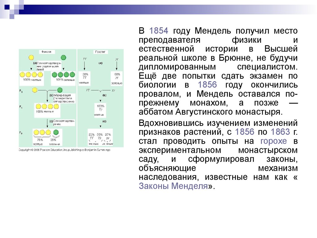 Презентация по законам менделя