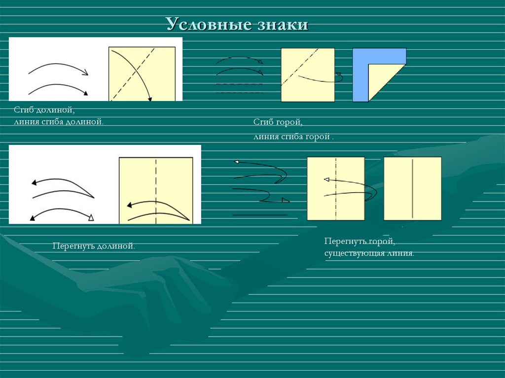 Линии сгиба на изображении обозначают