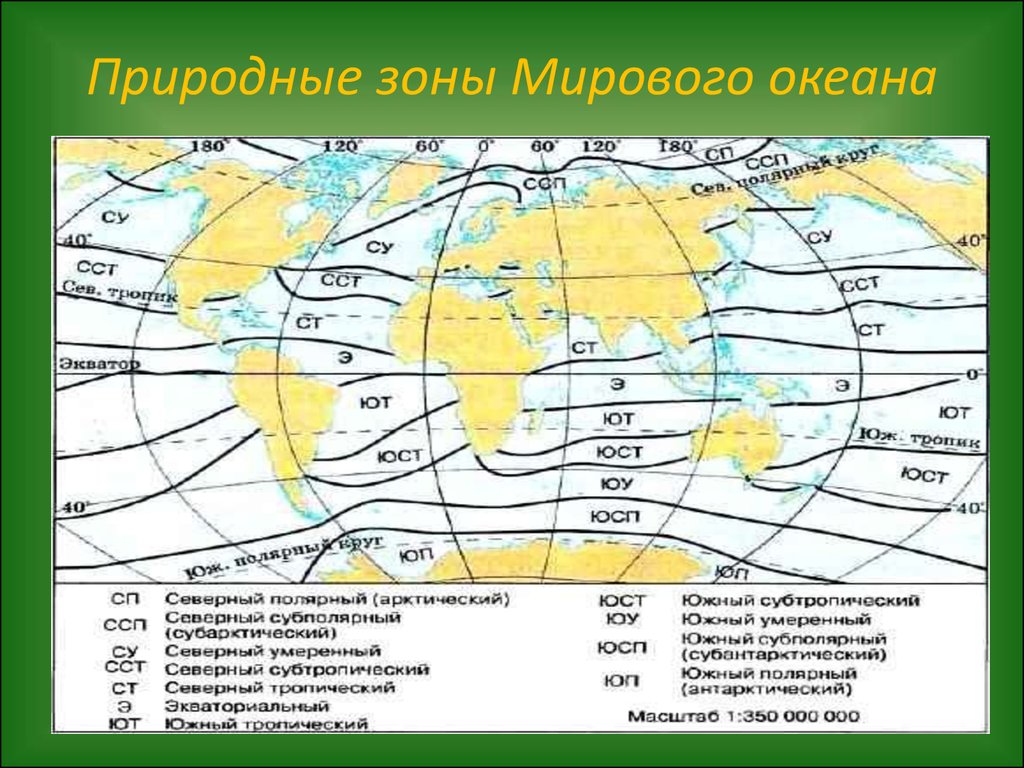 Тихий океан какой климат. Климатические пояса Атлантического океана на карте. Природные пояса океана. Природные зоны океанов.