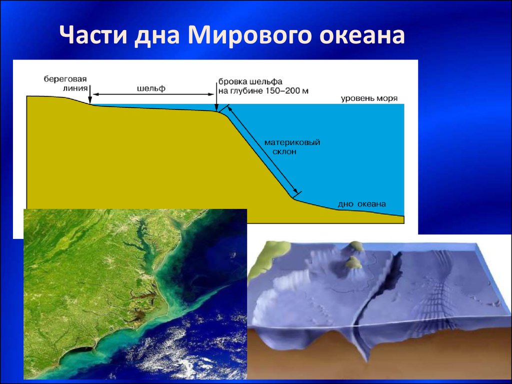 Изучение дна мирового океана. Части океана. Дно мирового океана. Части океанического дна. Зоны дна мирового океана.