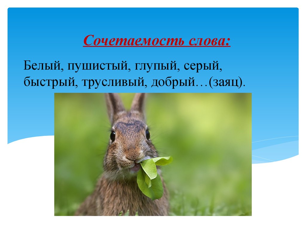 Стихотворение рубцова про зайца. Сочетаемость слова заяц. Предложение про зайца. Заяц 3 класс. Рассказ о слове заяц 3 класс.