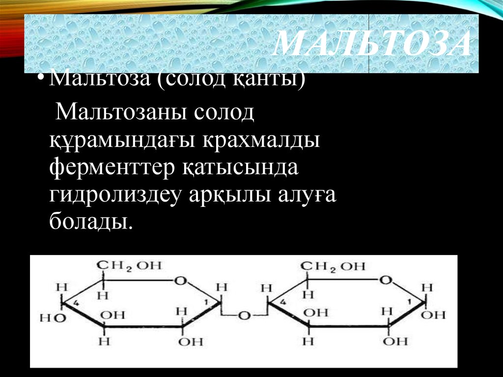 Химические свойства мальтозы