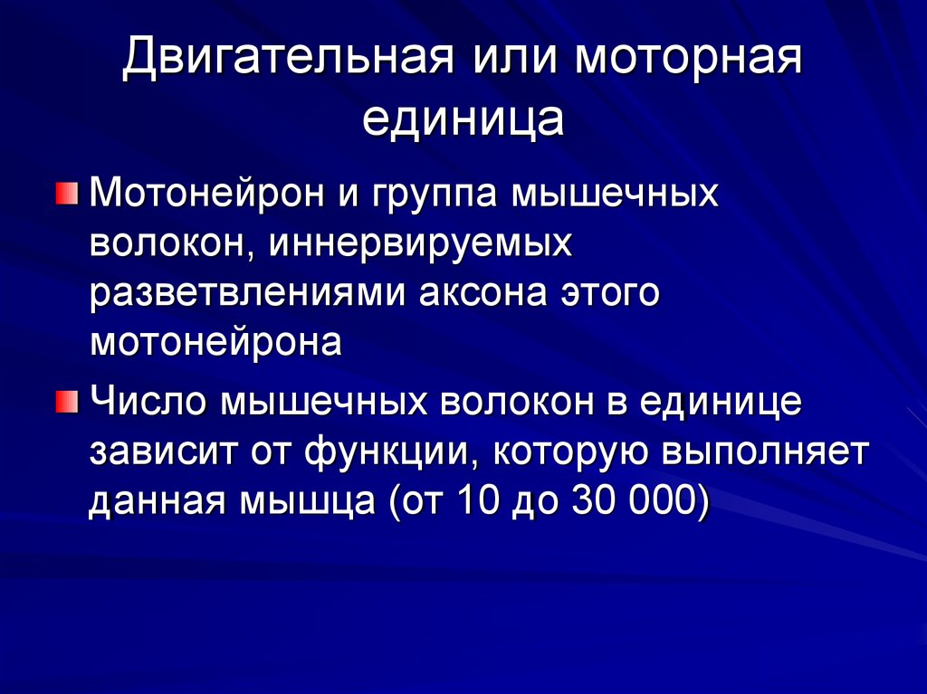 Двигательная единица это. Понятие о моторной единице. Понятие о двигательной единице. Понятие моторной единицы мышцы. Понятие о двигательной моторной единице.