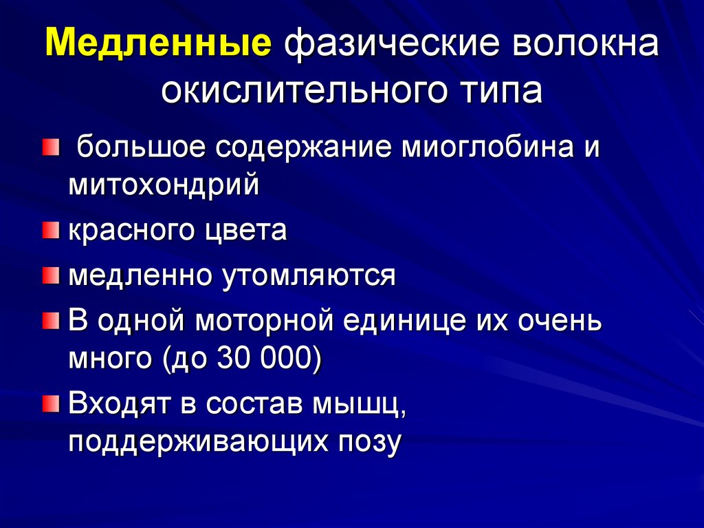 Способностью к быстрым сокращениям. Медленные фазические волокна. Тонические и фазические мышечные волокна. Медленные фазические волокна окислительного типа. Медленныефазическиеволокна окислительного типа.