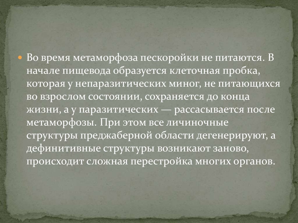 Препараты дуодено гастральном рефлюксе. Неудачи Шуйского.