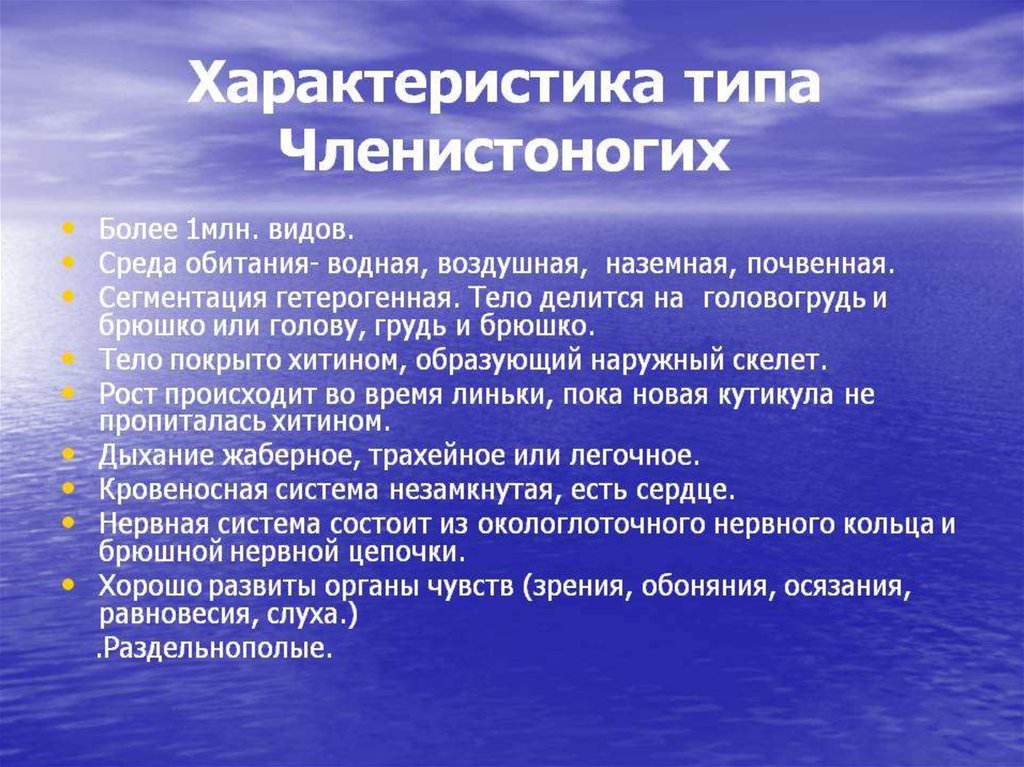 Классификация типа членистоногие. Значение типа членистоногих. Свойства наземно-воздушной среды.