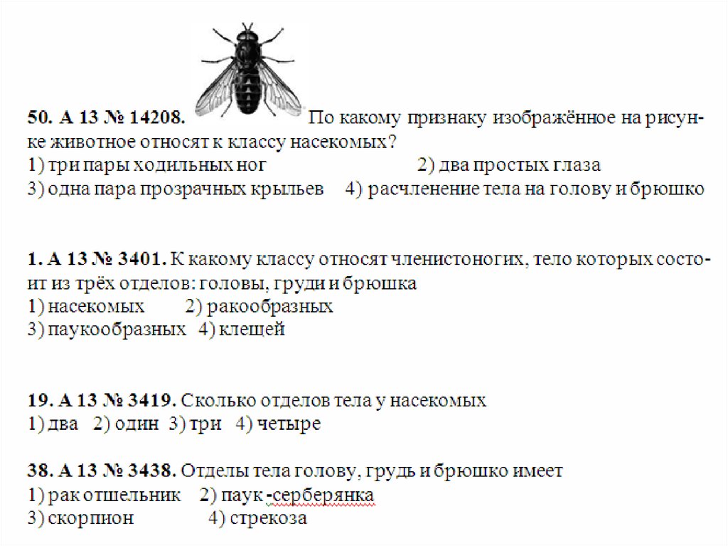 Изобразить признак насекомых