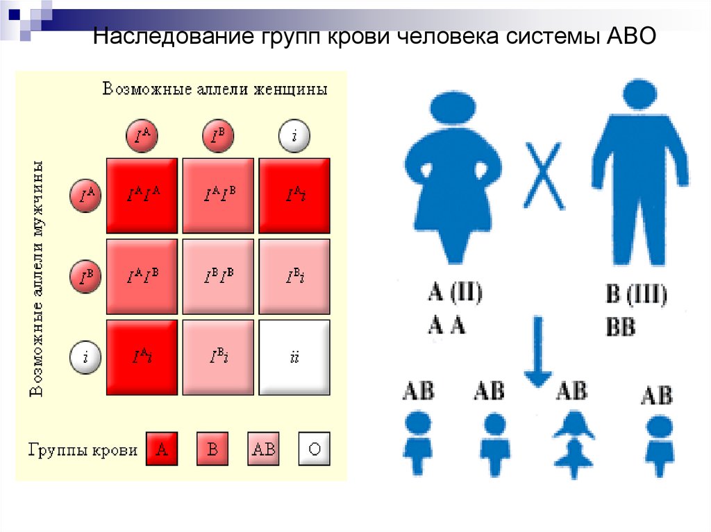 Схема наследования крови