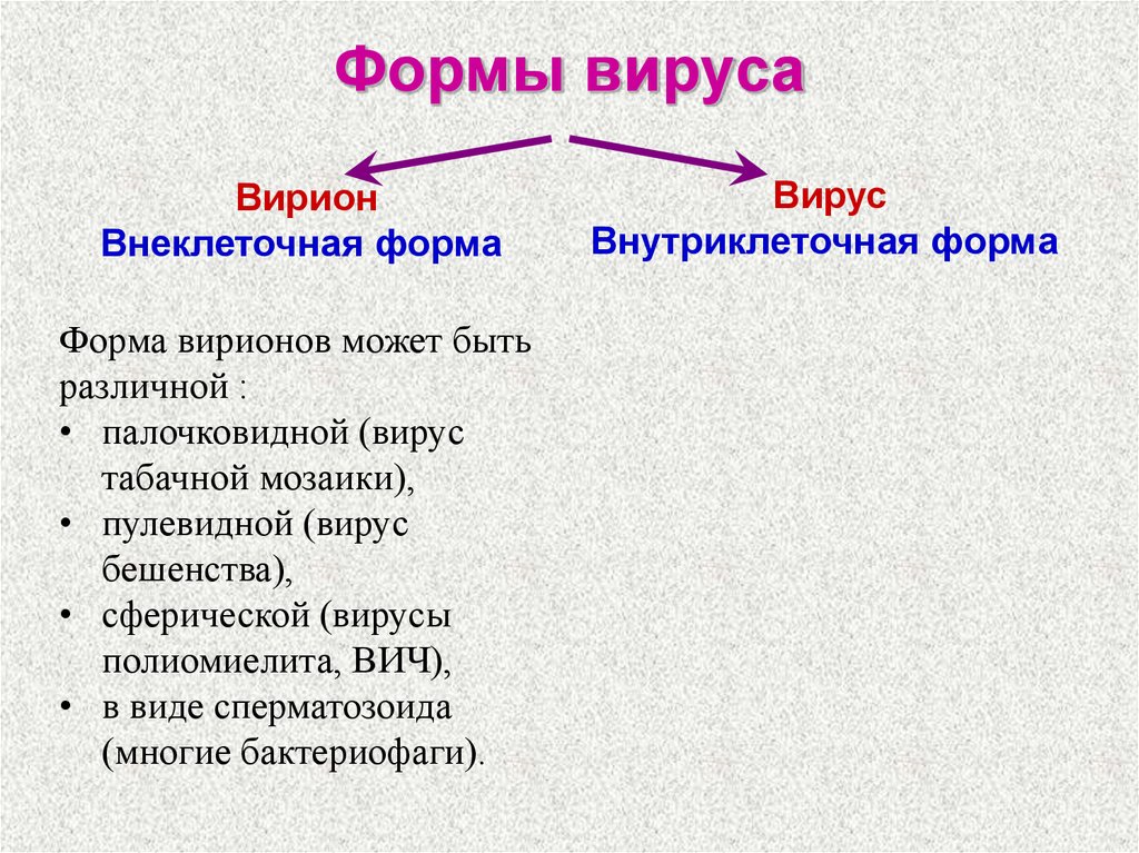 Внеклеточные организмы примеры. Две формы существования вирусов. Какой формы бывают вирусы. Формы вирусных частиц. Классификация вирусов по форме.