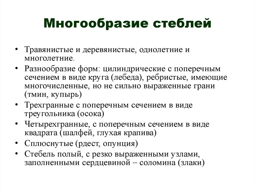 Разнообразие стеблей. Многообразие стеблей. Стебель. Классификация стеблей. Классификация разнообразие стеблей. Схема классификации о разнообразии стеблей.