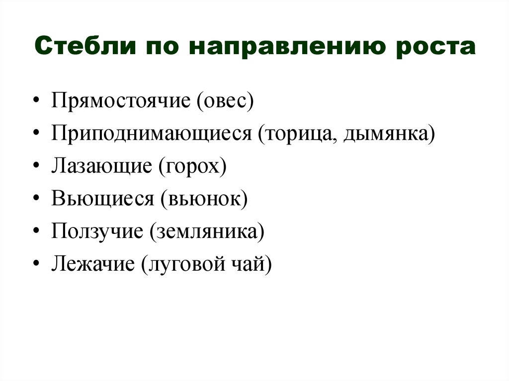 По направлению роста стебель. Стебли по направлению роста. Направления морфологии растений.