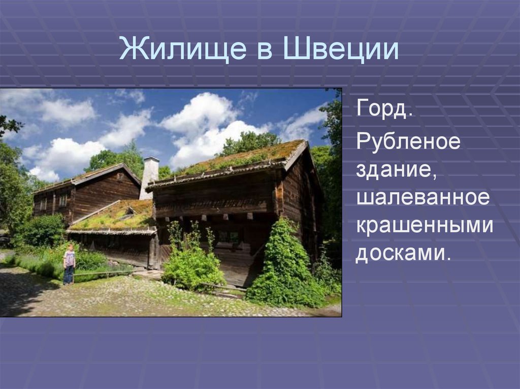 Содержание жилища сбо 8 класс презентация