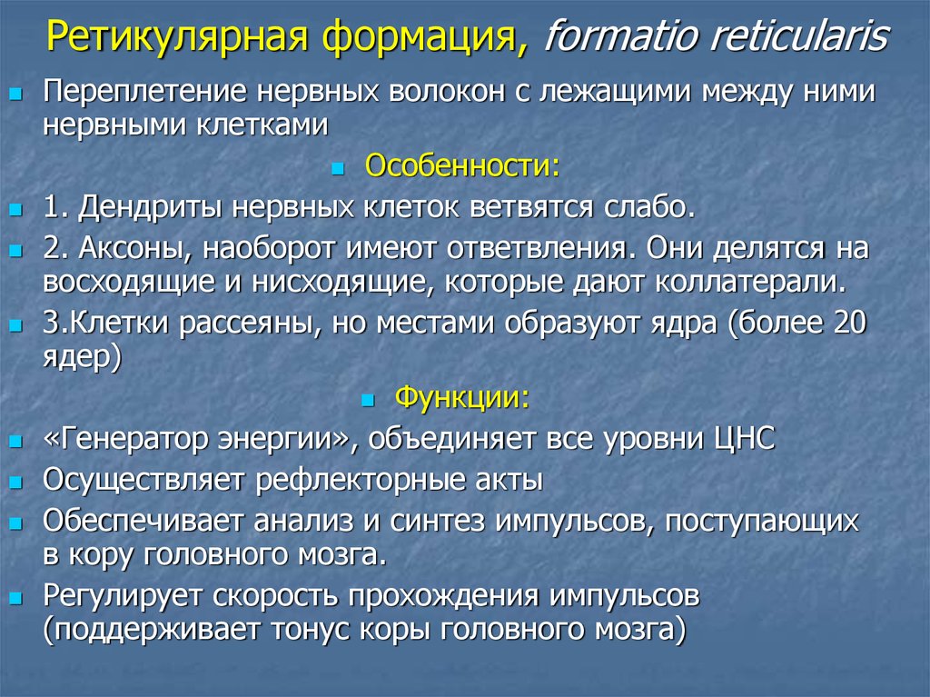 Формация это. Ретикулярная форма. Ретикуляционная формация. Роль ретикулярной формации. Ретикуляраня фомрация функци и.