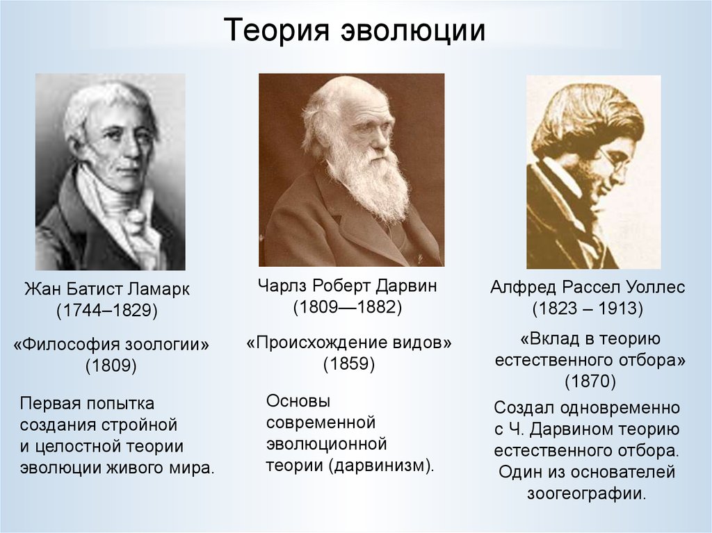 Доказывали представители. Эволюция ученые. Теория эволюции. Эволюционная теория. Эволюционное учение ученые.